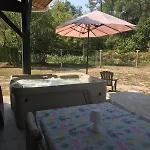 Mimosas * Moliets-et-Maa