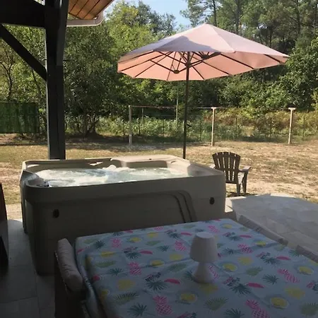 Mimosas * Moliets-et-Maa