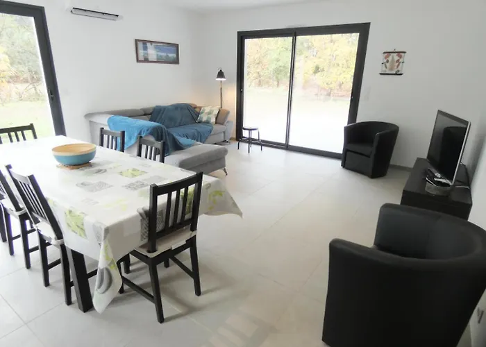 Mimosas * Moliets-et-Maa