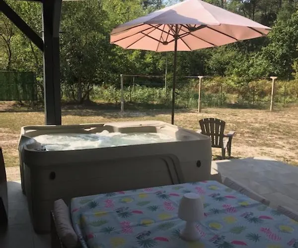 Mimosas * Moliets-et-Maa