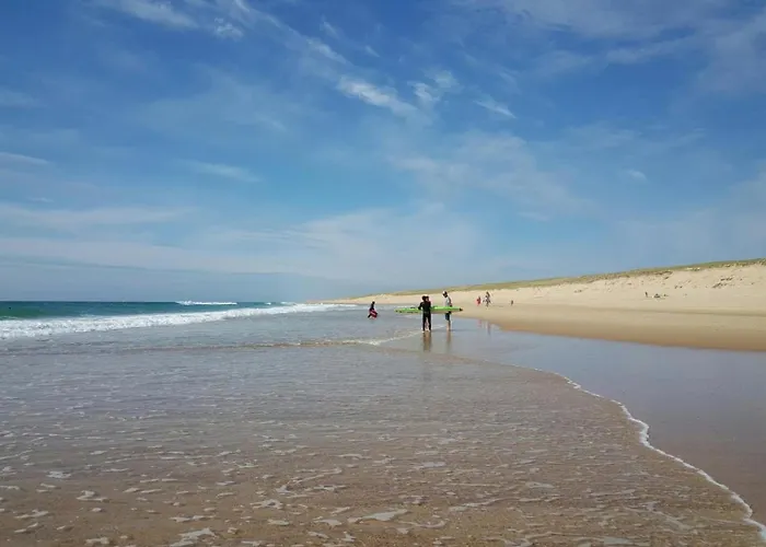 Mimosas * Moliets-et-Maa