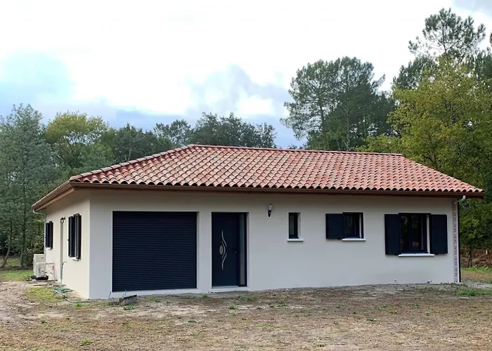 Mimosas Moliets-et-Maa