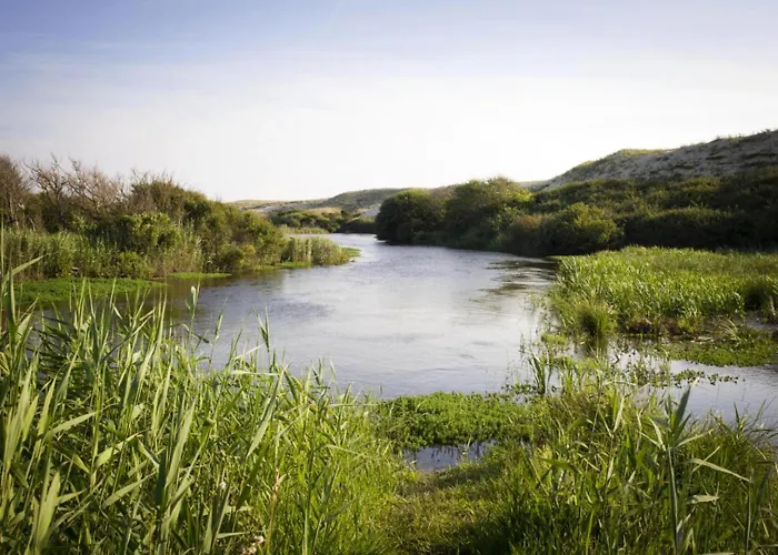 Feriehus Mimosas Moliets-et-Maa